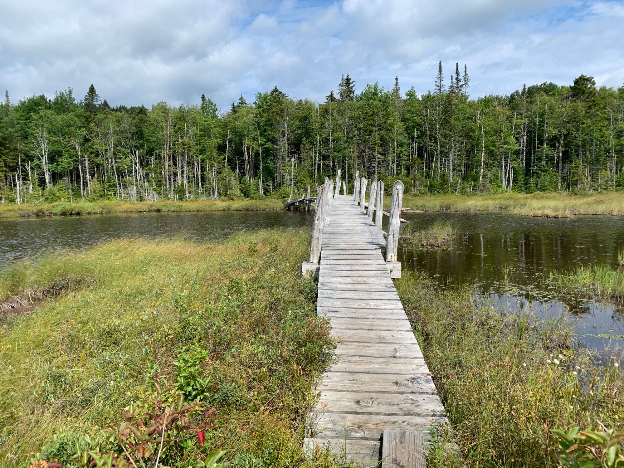 Northville-Placid Trail Summer 2019 Thru-Hike (Part 1)