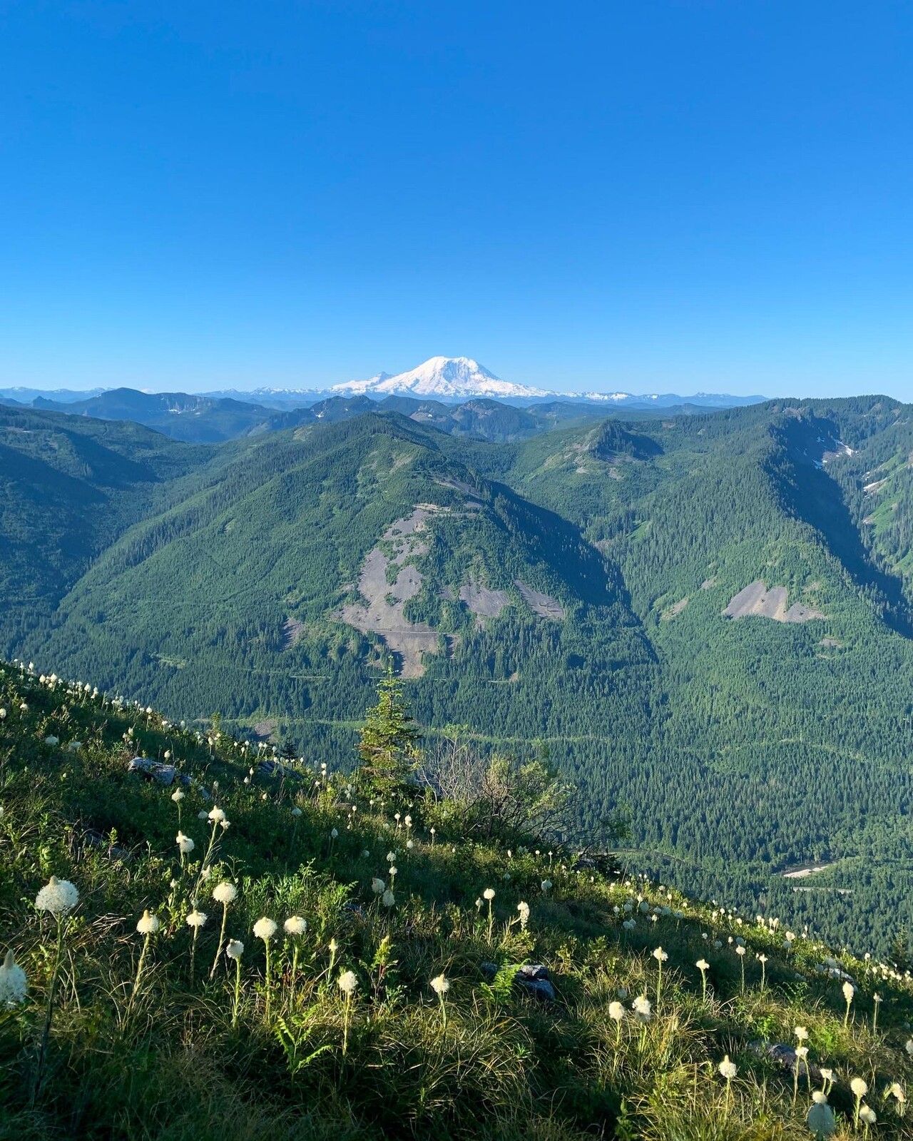 Bandera Mountain June 2021 Trip Report