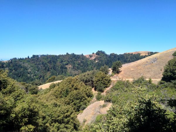 Russian Ridge Open Space Preserve