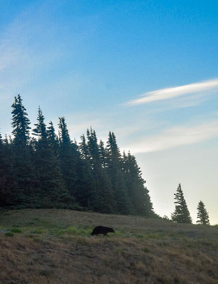 Sunrise at Hurricane Ridge