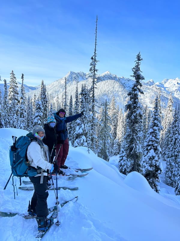 Kendall Trees Ski Tour (January 2024)