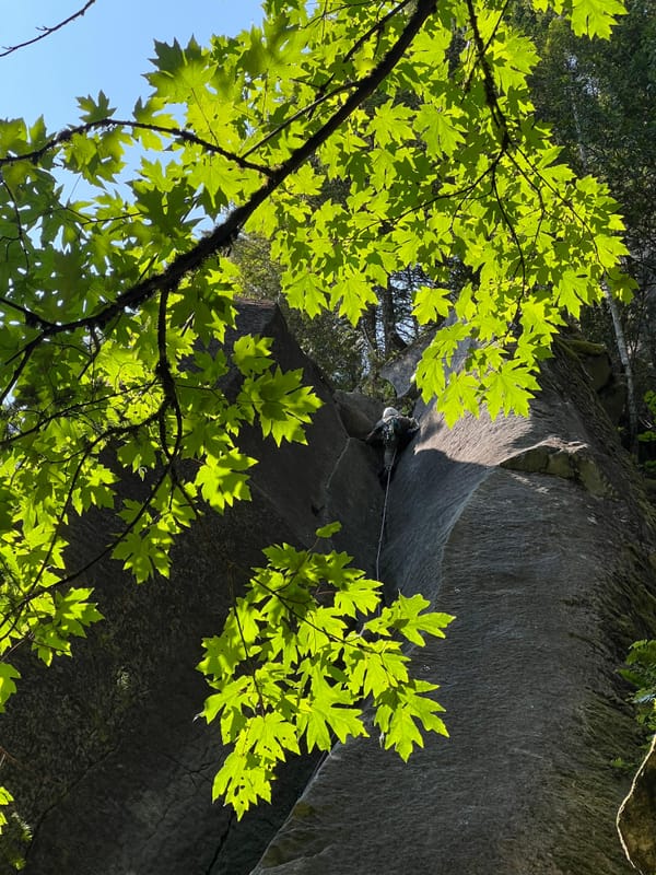 Breaking the Climbing Fear Cycle